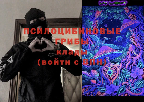 метадон Алексин